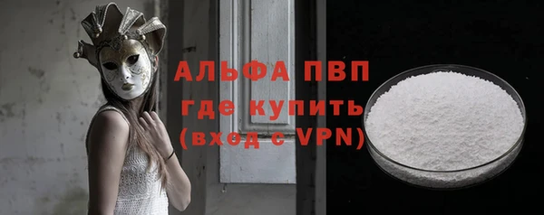 шишки Белокуриха