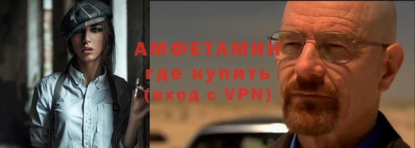 шишки Белокуриха