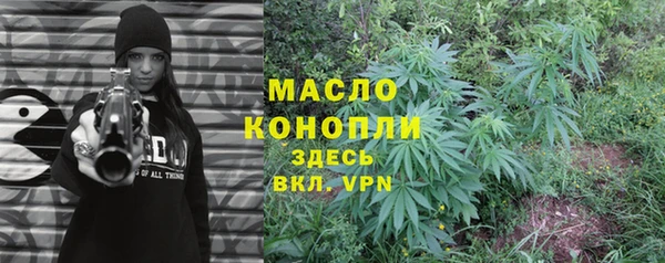 шишки Белокуриха