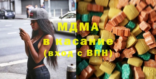 шишки Белокуриха