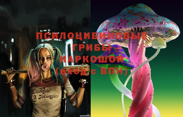 шишки Белокуриха