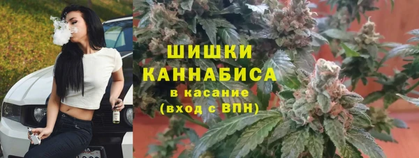 крисы Белоозёрский