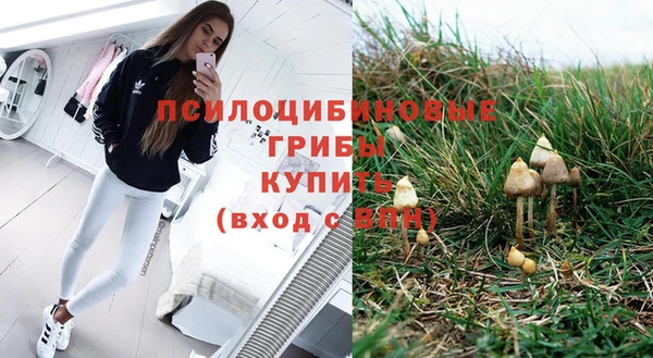 spice Беломорск