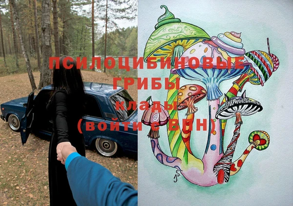 шишки Белокуриха