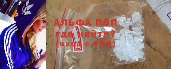 шишки Белокуриха