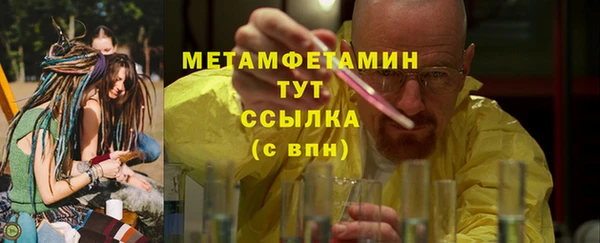шишки Белокуриха